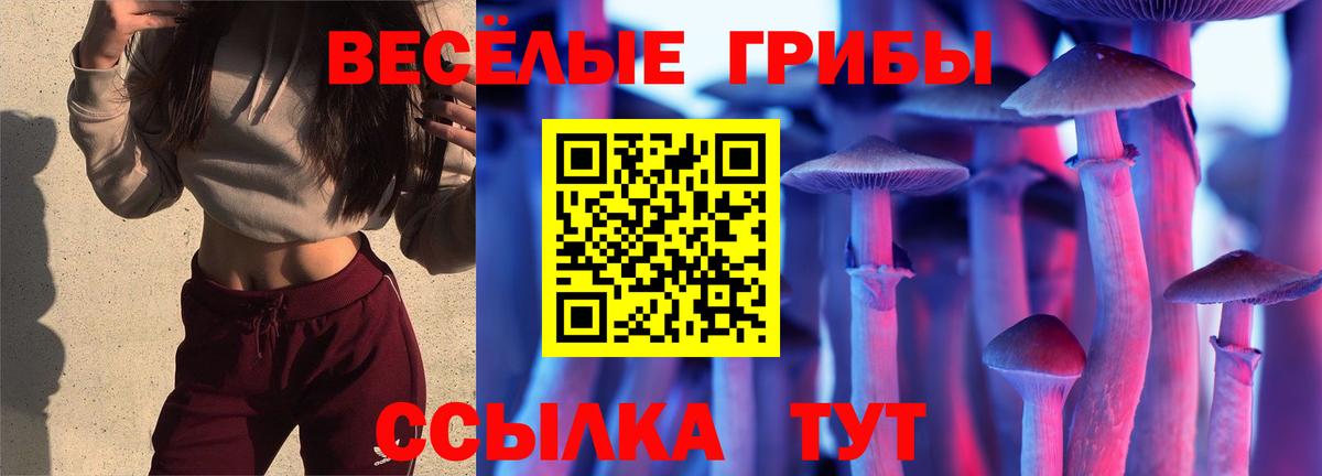 Балабаново  Псилоцибиновые грибы MAGIC MUSHROOMS  Вход с VPN  Псилоцибиновые грибы Cubensis 